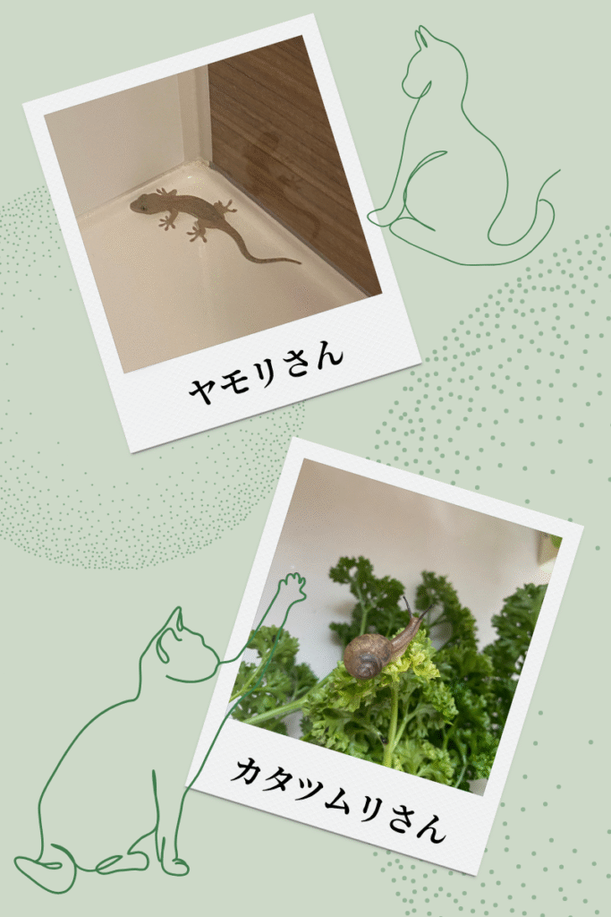 1週間お風呂場に居候したヤモリの子ども。自然との思いがけない出会い。