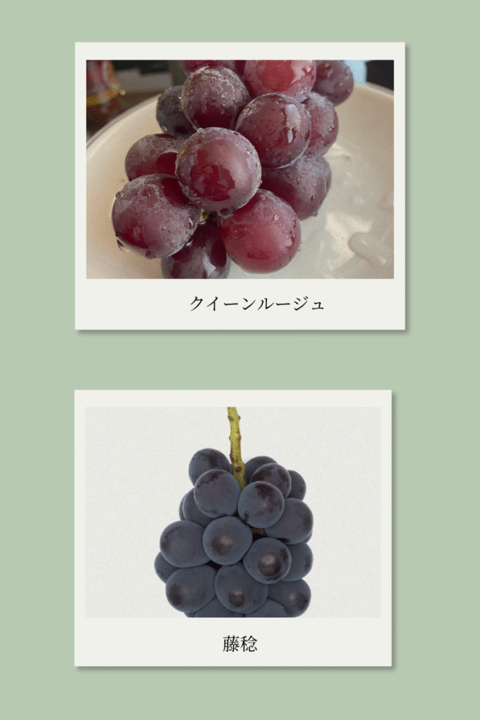 クイーンルージュと藤稔がポラロイドにうつされています。