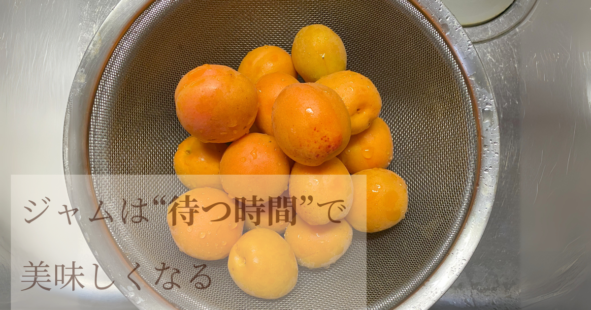 ザルに入った水気を帯びたアンズ。ジャム作りの準備が始まる前の、みずみずしい果物の様子