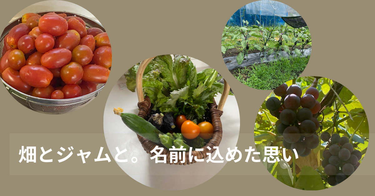 旬の果物と野菜の写真。「畑とジャムと。」の自然を大切にした無添加ジャムのイメージ