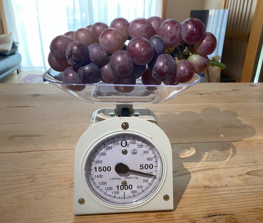 巨峰の重さをははかりで量っています